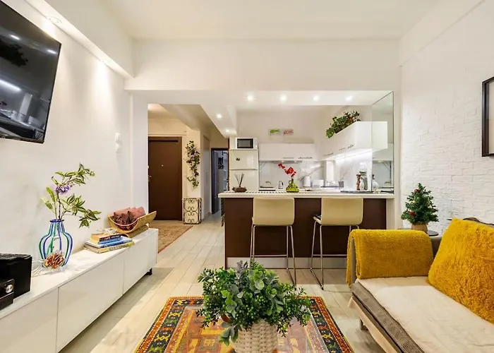 The Excellent Home